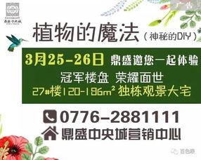 百色今日爆料信息查询,揭秘今日热点事件！”